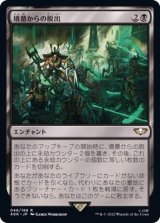 [EX]墳墓からの脱出/Out of the Tombs《日本語》【40K】