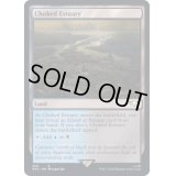[EX+]詰まった河口/Choked Estuary《英語》【40K】
