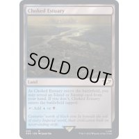 詰まった河口/Choked Estuary《英語》【40K】