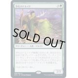 浄化のドルイド/Druid of Purification《日本語》【AFC】