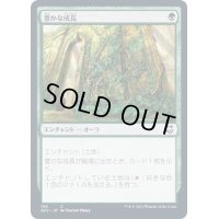 [EX+]豊かな成長/Abundant Growth《日本語》【AFC】