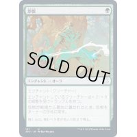 怨恨/Rancor《日本語》【AFC】