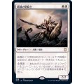 [EX+]純鋼の聖騎士/Puresteel Paladin《日本語》【AFC】