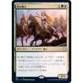 秋の騎士/Knight of Autumn《日本語》【AFC】