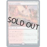 燃えがらの林間地/Cinder Glade《日本語》【AFC】