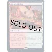 燃えがらの林間地/Cinder Glade《日本語》【AFC】