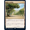 風変わりな果樹園/Exotic Orchard《日本語》【AFC】