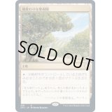 [EX]風変わりな果樹園/Exotic Orchard《日本語》【AFC】
