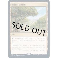 風変わりな果樹園/Exotic Orchard《日本語》【AFC】
