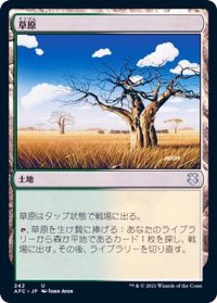 草原/Grasslands《日本語》【AFC】