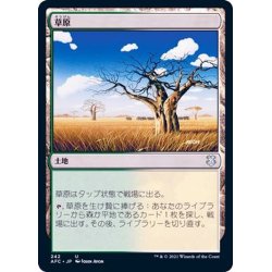 画像1: 草原/Grasslands《日本語》【AFC】
