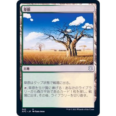 草原/Grasslands《日本語》【AFC】