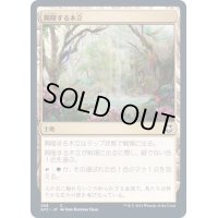 興隆する木立/Thriving Grove《日本語》【AFC】