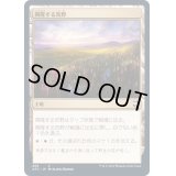 興隆する荒野/Thriving Heath《日本語》【AFC】