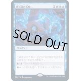 預言者の先触れ/Diviner's Portent《日本語》【AFC】