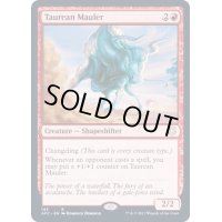 [EX+]雄牛のやっかいもの/Taurean Mauler《英語》【AFC】
