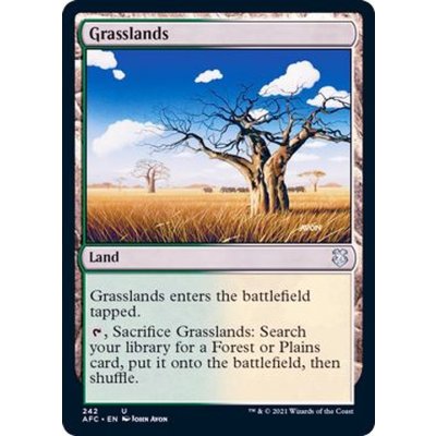 草原/Grasslands《英語》【AFC】