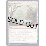 興隆する木立/Thriving Grove《英語》【AFC】