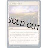 興隆する荒野/Thriving Heath《英語》【AFC】