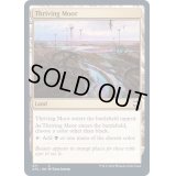 興隆する湿地帯/Thriving Moor《英語》【AFC】