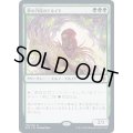 [EX](FOIL)夢の円環のドルイド/Circle of Dreams Druid《日本語》【AFR】