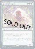 [EX](FOIL)夢の円環のドルイド/Circle of Dreams Druid《日本語》【AFR】