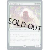 夢の円環のドルイド/Circle of Dreams Druid《日本語》【AFR】
