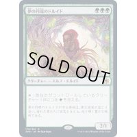 [EX](FOIL)夢の円環のドルイド/Circle of Dreams Druid《日本語》【AFR】