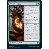 ドルイド・クラス/Druid Class《日本語》【AFR】