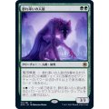 (FOIL)群れ率いの人狼/Werewolf Pack Leader《日本語》【AFR】