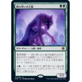 群れ率いの人狼/Werewolf Pack Leader《日本語》【AFR】
