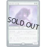 [EX]群れ率いの人狼/Werewolf Pack Leader《日本語》【AFR】