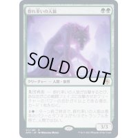 [EX](FOIL)群れ率いの人狼/Werewolf Pack Leader《日本語》【AFR】