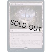 [EX](FOIL)目玉の暴君の住処/Hive of the Eye Tyrant《日本語》【AFR】
