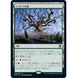 (FOIL)ハイドラの巣/Lair of the Hydra《日本語》【AFR】