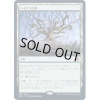 [EX](FOIL)ハイドラの巣/Lair of the Hydra《日本語》【AFR】
