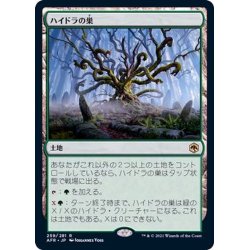画像1: (FOIL)ハイドラの巣/Lair of the Hydra《日本語》【AFR】