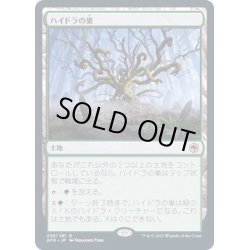 画像1: [EX](FOIL)ハイドラの巣/Lair of the Hydra《日本語》【AFR】