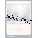 [EX](FOIL)(262)平地/Plains《日本語》【AFR】