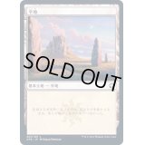 [EX](FOIL)(263)平地/Plains《日本語》【AFR】
