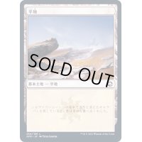 [EX](FOIL)(264)平地/Plains《日本語》【AFR】