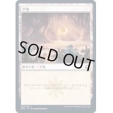 [EX](FOIL)(265)平地/Plains《日本語》【AFR】