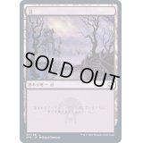 (FOIL)(271)沼/Swamp《日本語》【AFR】