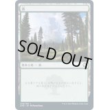 (FOIL)(278)森/Forest《日本語》【AFR】