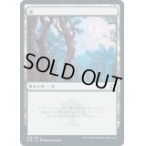 (FOIL)(279)森/Forest《日本語》【AFR】