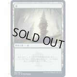 (FOIL)(280)森/Forest《日本語》【AFR】