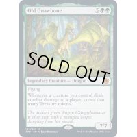 [EX](FOIL)年老いた骨齧り/Old Gnawbone《英語》【AFR】