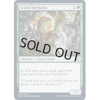 (FOIL)鱗の薬草医/Scaled Herbalist《英語》【AFR】