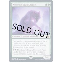 [EX+](FOIL)群れ率いの人狼/Werewolf Pack Leader《英語》【AFR】