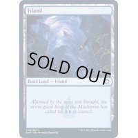 [EX](FOIL)(269)島/Island《英語》【AFR】